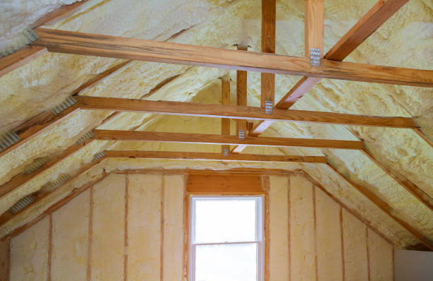 Best Cellulose Insulation in Wailua Homesteads, HI