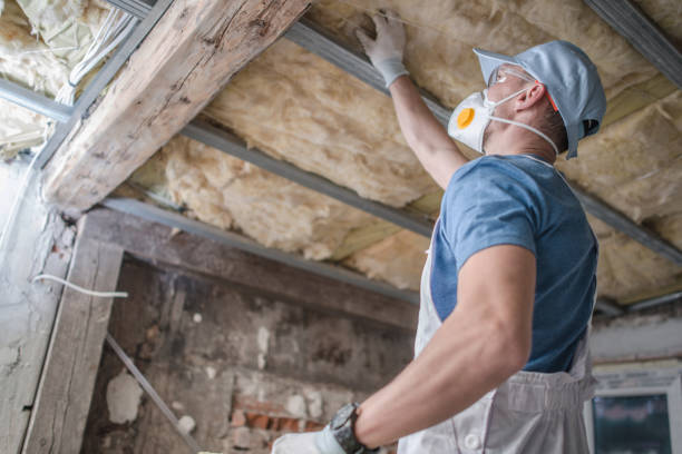 Best DIY Insulation Kits and Guidance in Wailua Homesteads, HI