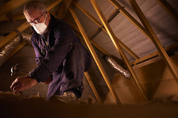Types of Insulation We Offer in Wailua Homesteads, HI